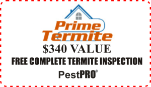 Pest Control, In, LOS ANGELES
