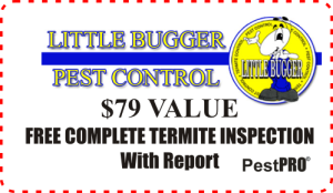 Orange County, California Pest Control, Deal